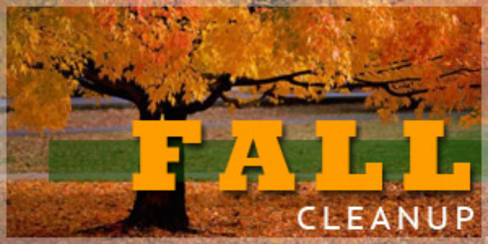 fall-cleanup-3